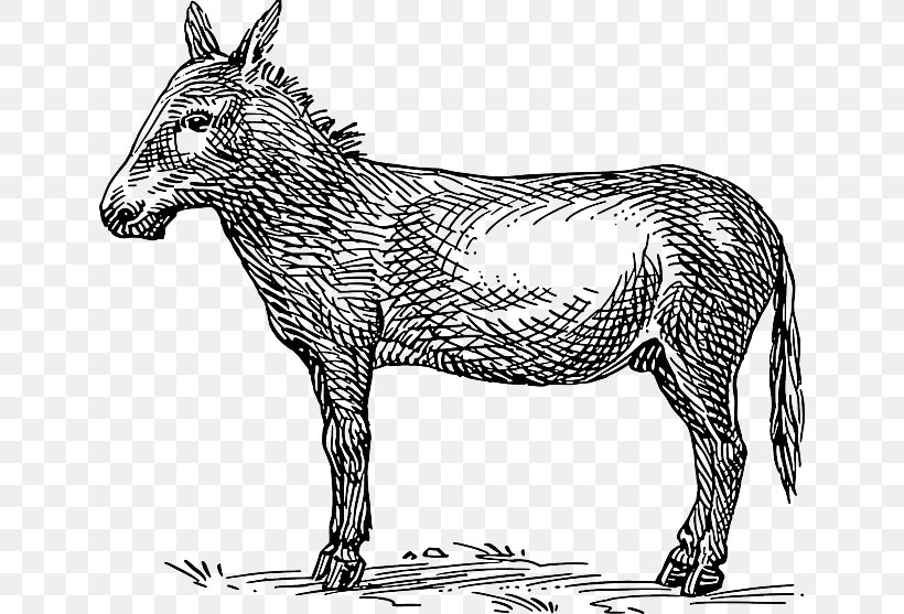 Mule Donkey Clip Art, PNG, 640x557px, Mule, Animal Figure, Black And White, Donkey, Drawing Download Free