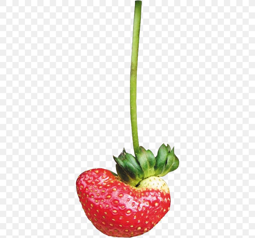Strawberry Vegetable Food Clip Art, PNG, 334x768px, Strawberry, Berry, Black Pepper, Diet Food, Flower Download Free