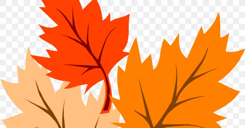 Clip Art Autumn Leaf Color Maple Leaf, PNG, 1024x538px, Autumn, Autumn Leaf Color, Flowering Plant, Leaf, Maple Download Free