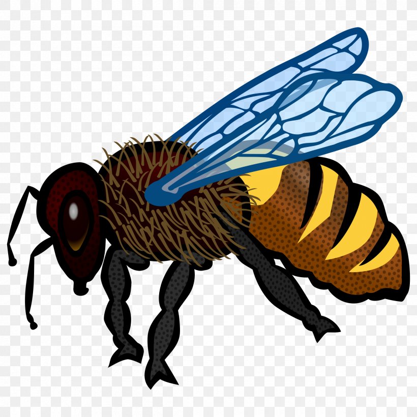 Honey Bee Clip Art, PNG, 2400x2400px, Bee, Arthropod, Artwork, Fauna, Fly Download Free