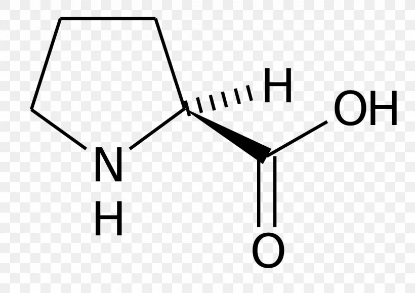 Hydroxyproline Proteinogenic Amino Acid Amine, PNG, 1280x905px, Proline, Acid, Alanine, Amine, Amino Acid Download Free