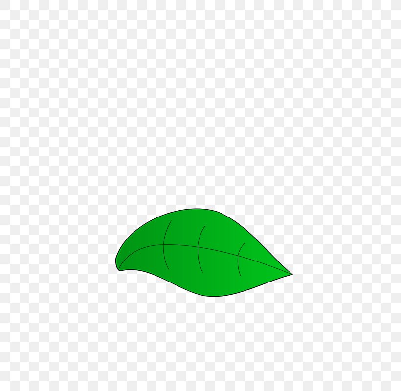 Leaf Line Angle, PNG, 566x800px, Leaf, Area, Grass, Green, Headgear Download Free