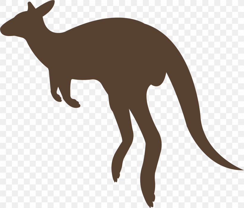 Macropodidae Kangaroo Animal Red Fox, PNG, 2170x1852px, Macropodidae, Animal, Fauna, Fox, Kangaroo Download Free