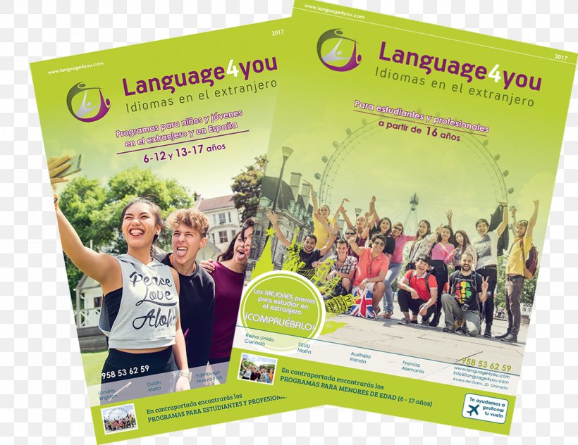 Translation Knowledge Language4you Summer Camp Academic Year, PNG, 1140x880px, Translation, Academic Year, Actividad, Advertising, Child Download Free