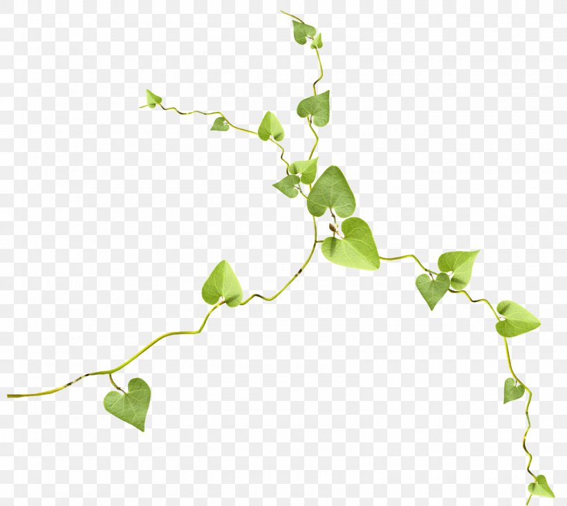 Twig Leaf Branch Clip Art, PNG, 1600x1429px, Twig, Branch, Flora, Green, Leaf Download Free