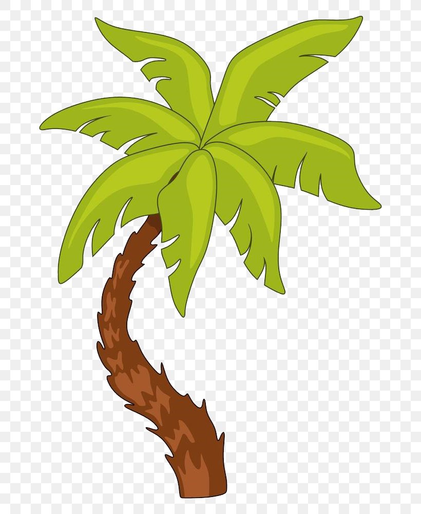 Arecaceae Tree Photography Illustration, PNG, 704x1000px, Arecaceae, Can Stock Photo, Coconut, Drawing, Flora Download Free