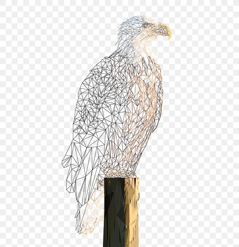 Bald Eagle Hawk Buzzard, PNG, 600x849px, Bald Eagle, Accipitriformes, Art Museum, Beak, Behance Download Free