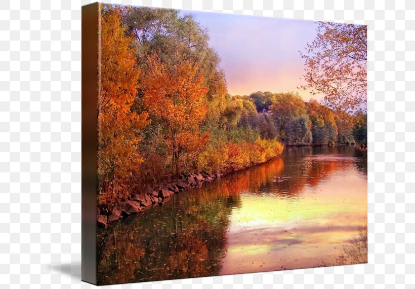 Painting Gallery Wrap Canvas River State Park, PNG, 650x570px, Painting, Art, Autumn, Bank, Bayou Download Free