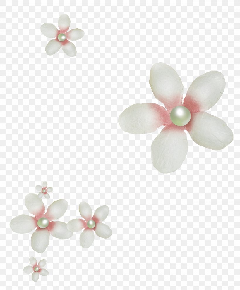 Petal Flower, PNG, 2542x3078px, Petal, Animated Film, Blossom, Body ...