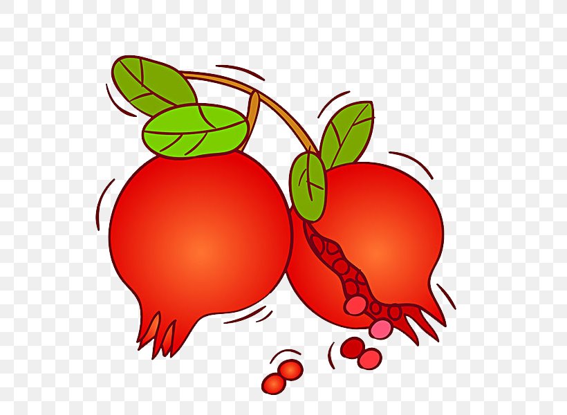 Pomegranate Fruit Auglis, PNG, 600x600px, Pomegranate, Apple, Auglis, Drawing, Drink Download Free