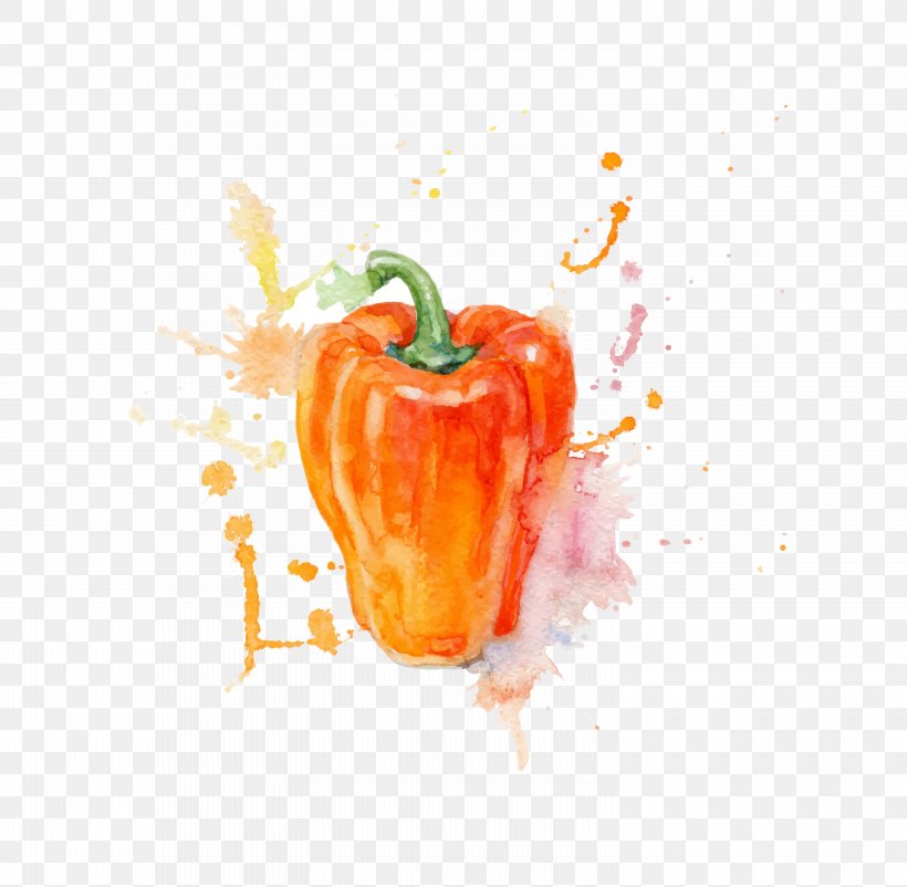 Watercolor Painting Vegetable, PNG, 6068x5940px, Watercolor Painting, Bell Peppers And Chili Peppers, Chili Pepper, Diet Food, Drawing Download Free