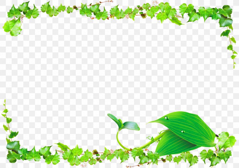 Leaf Green Vine, PNG, 2450x1725px, Leaf, Banner, Border, Drawing, Flora Download Free