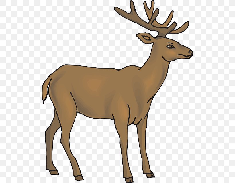 White-tailed Deer Reindeer Rudolph Clip Art, PNG, 527x640px, Deer, Animal, Animal Figure, Antler, Drawing Download Free