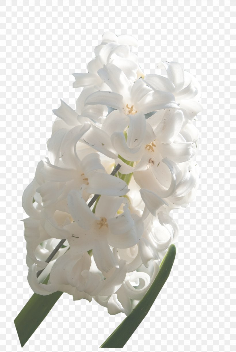 Floral Design Cut Flowers Flower Bouquet, PNG, 2045x3052px, Floral Design, Artificial Flower, Blossom, Cut Flowers, Dendrobium Download Free