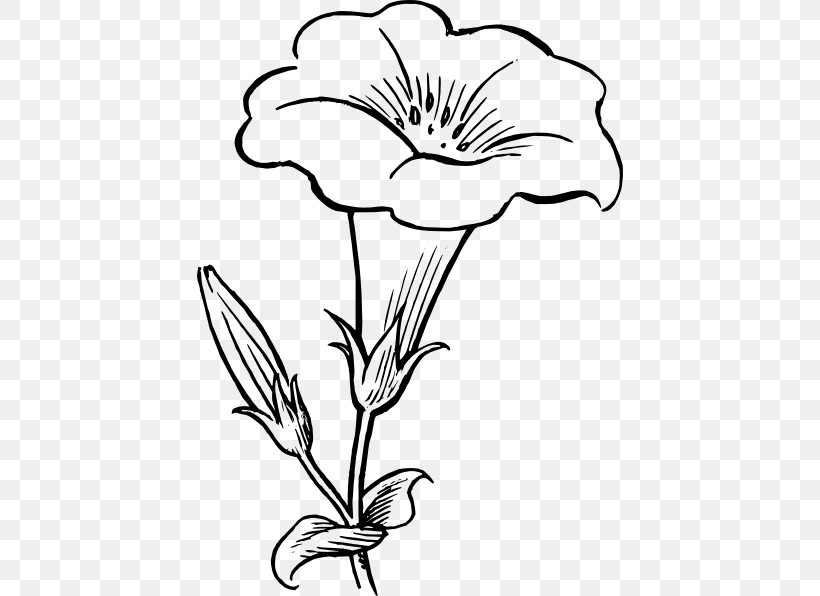 Flower Plant Black-and-white Petal Pedicel, PNG, 426x596px, Flower, Blackandwhite, Line Art, Pedicel, Petal Download Free