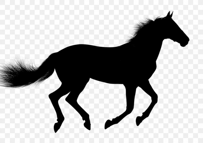 Arabian Horse Mustang Pony Clip Art Vector Graphics, PNG, 927x656px, Arabian Horse, Animal Figure, Black, Blackandwhite, Colt Download Free