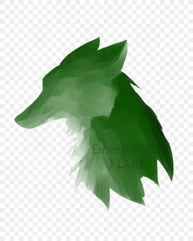 Gray Wolf Emerald Green Desktop Wallpaper, PNG, 784x1020px, Gray Wolf, Drawing, Emerald, Frame Rate, Green Download Free