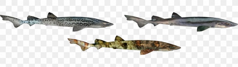 Squaliform Sharks Fauna Ecosystem Animal, PNG, 1771x500px, Squaliform Sharks, Animal, Animal Figure, Ecosystem, Fauna Download Free
