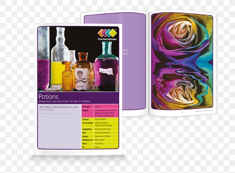 Year Four Potion Education Year Five School, PNG, 950x700px, Year Four, Course, Curriculum, Design And Technology, Education Download Free