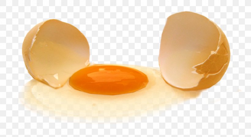 Yolk Chicken Egg White Color, PNG, 831x454px, Yolk, Caramel Color, Chicken, Chicken Coop, Choline Download Free
