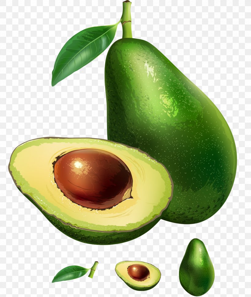 Avocado Royalty-free Stock Photography Illustration, PNG, 1199x1418px, Avocado, Auglis, Diet Food, Food, Fruit Download Free