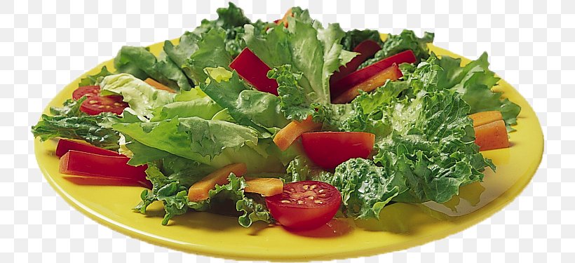 Chef Salad Taco Salad Seven-layer Salad, PNG, 734x375px, 5 A Day, Chef Salad, Caesar Salad, Culinary Art, Dish Download Free