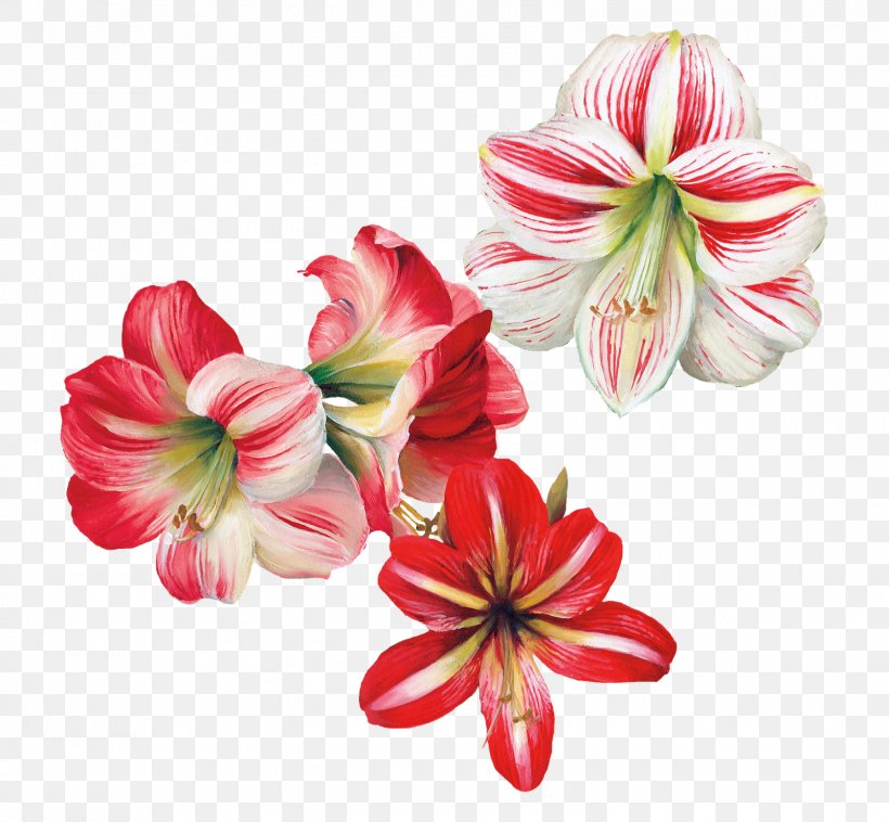 Flower Painting Decoupage Art, PNG, 1600x1480px, Flower, Amaryllis Belladonna, Amaryllis Family, Art, Cut Flowers Download Free