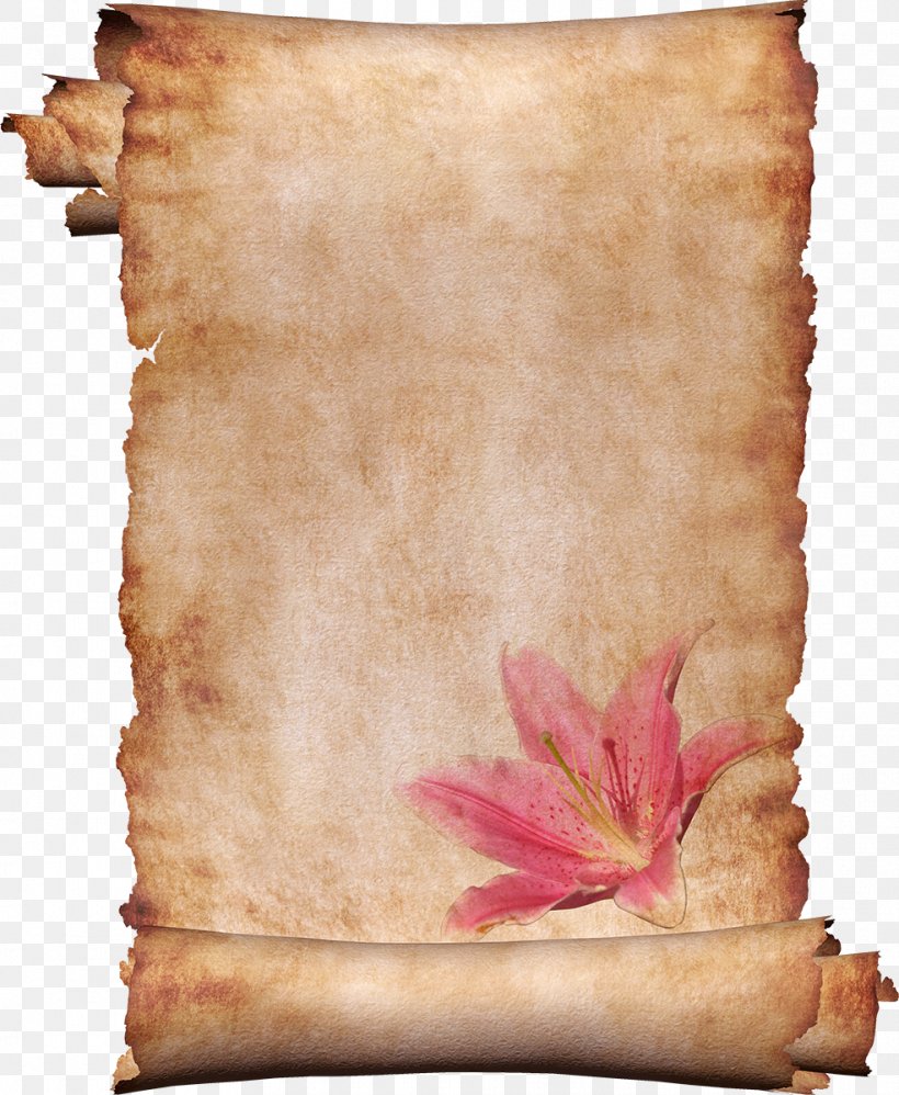 Paper Parchment Stock Photography Letter Image, PNG, 985x1200px, Paper, Book, Leaf, Letter, Manuscript Download Free