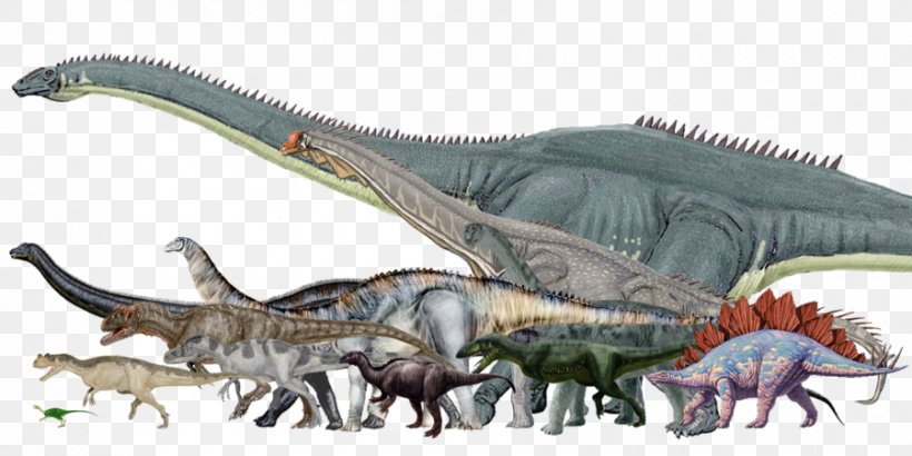 Amphicoelias Dinosaur Size Tyrannosaurus Brachiosaurus Allosaurus, PNG, 900x450px, Amphicoelias, Allosaurus, Animal Figure, Apatosaurus, Argentinosaurus Download Free
