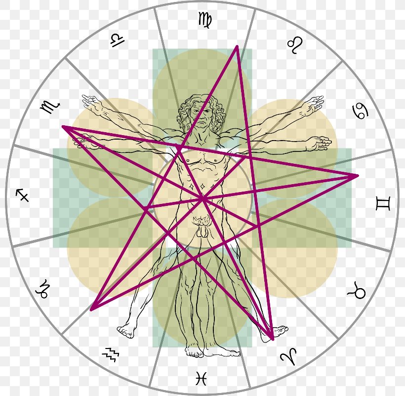 Circle Point Diagram, PNG, 799x800px, Point, Diagram, Symmetry, Tree, Triangle Download Free