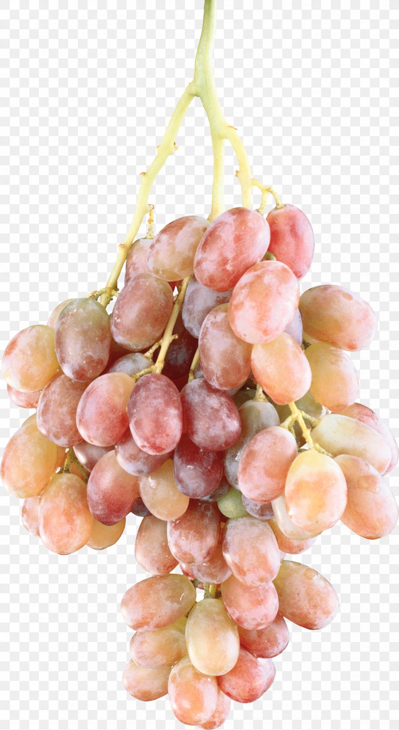 Common Grape Vine Fruit Clip Art, PNG, 1857x3400px, Common Grape Vine, Amazon Grape, Berry, Food, Fruit Download Free