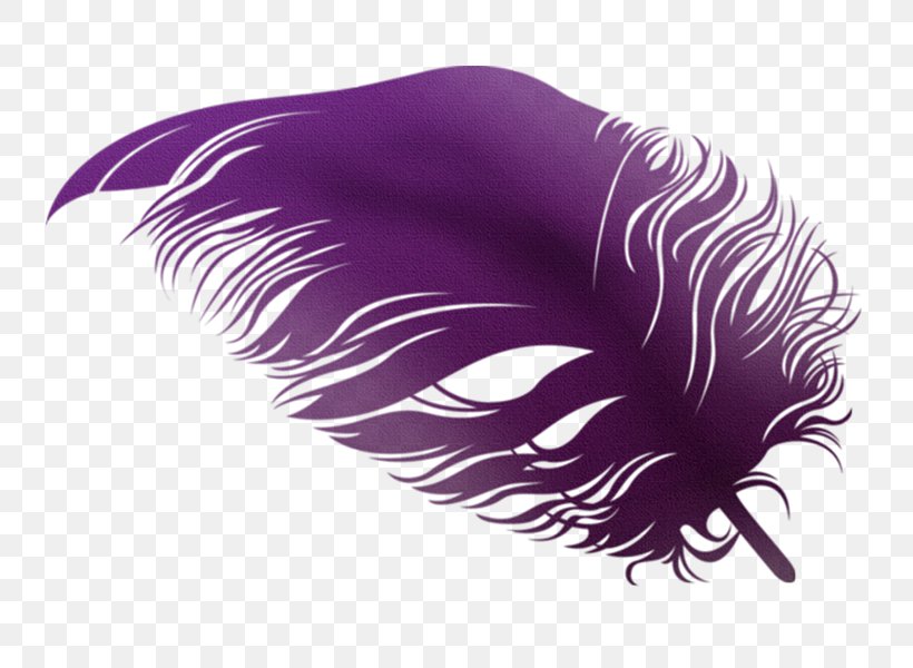 Feather Violet, PNG, 800x600px, Feather, Close Up, Color, Computer, Eyelash Download Free