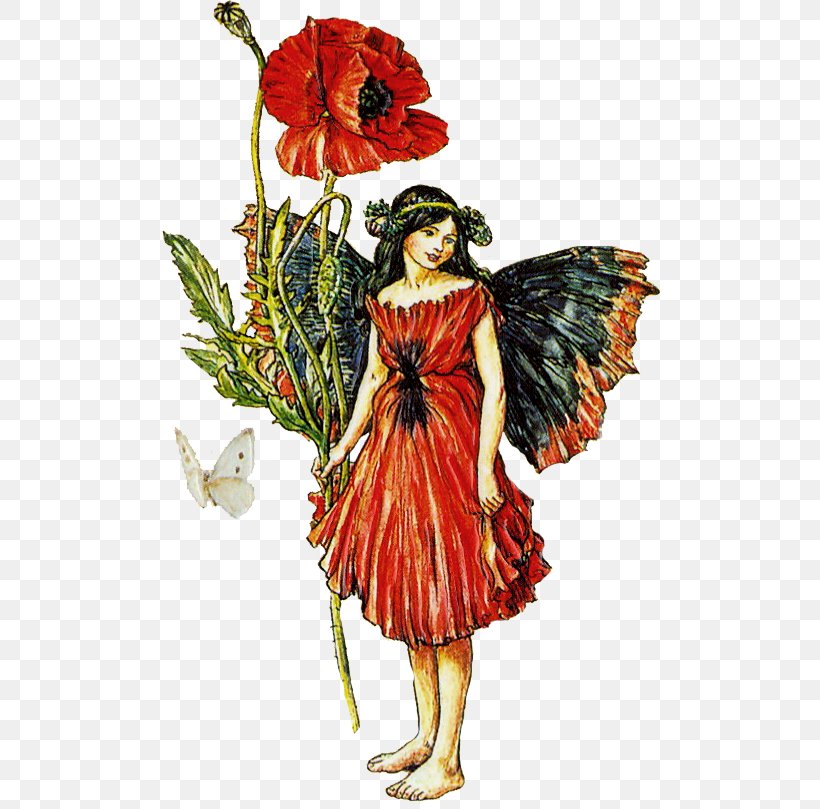 Fairy Flower Fairies Elf, PNG, 501x809px, Fairy, Cicely Mary Barker, Costume, Costume Design, Cut Flowers Download Free