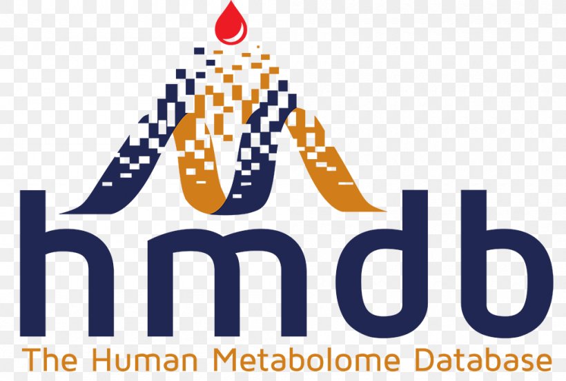 Human Metabolome Database Metabolite Metabolomics Research, PNG, 1000x675px, Metabolome, Analysis, Area, Biomarker, Brand Download Free