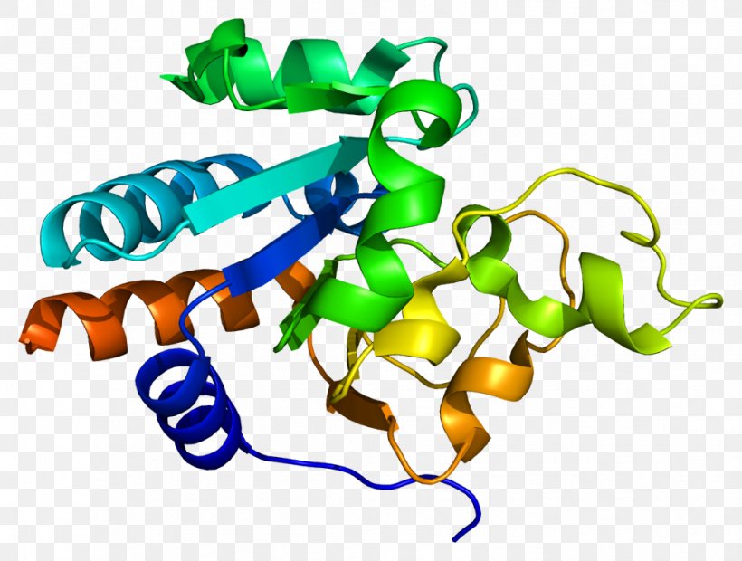 NNT Monoamine Oxidase Protein Number Needed To Treat Enzyme, PNG, 1019x771px, Monoamine Oxidase, Animal Figure, Artwork, Enzyme, Enzyme Inhibitor Download Free