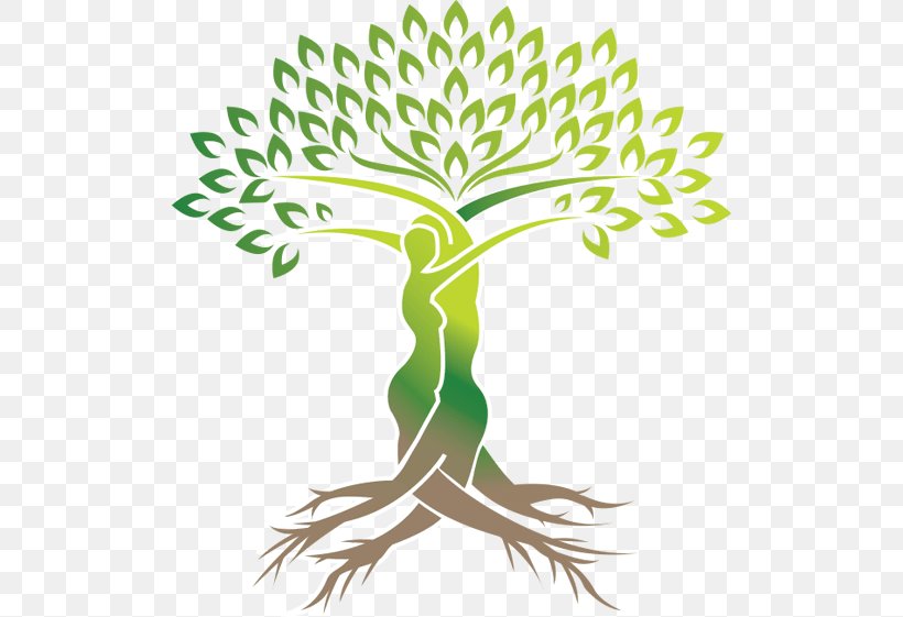 Tree Logo Green, PNG, 508x561px, Tree, Artwork, Branch, Drawing, Flora Download Free