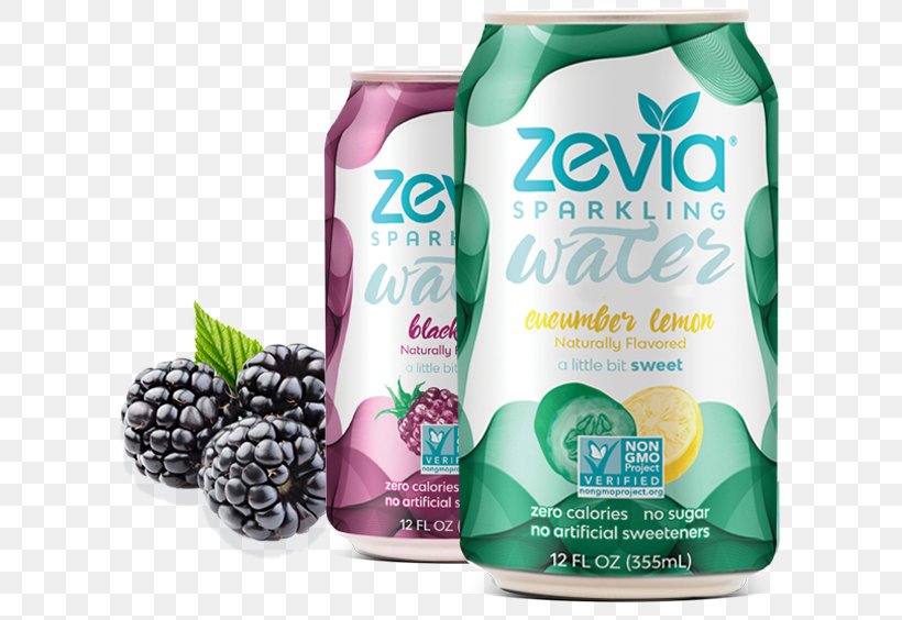 Carbonated Water Zevia Fizzy Drinks Drink Mixer Energy Drink, PNG, 615x564px, Carbonated Water, Beverage Can, Cocktail, Drink, Drink Mixer Download Free