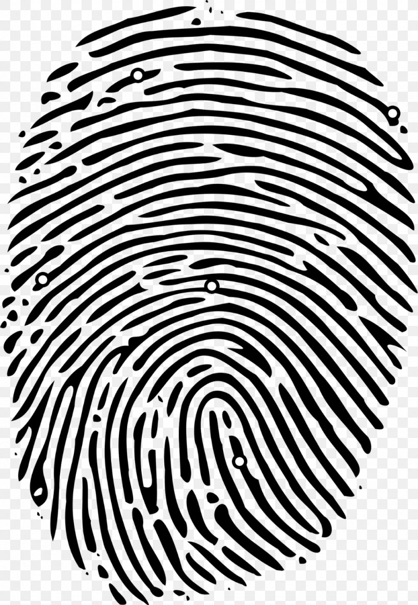 Fingerprint, PNG, 1024x1484px, Fingerprint, Area, Black, Black And White, Computer Hardware Download Free