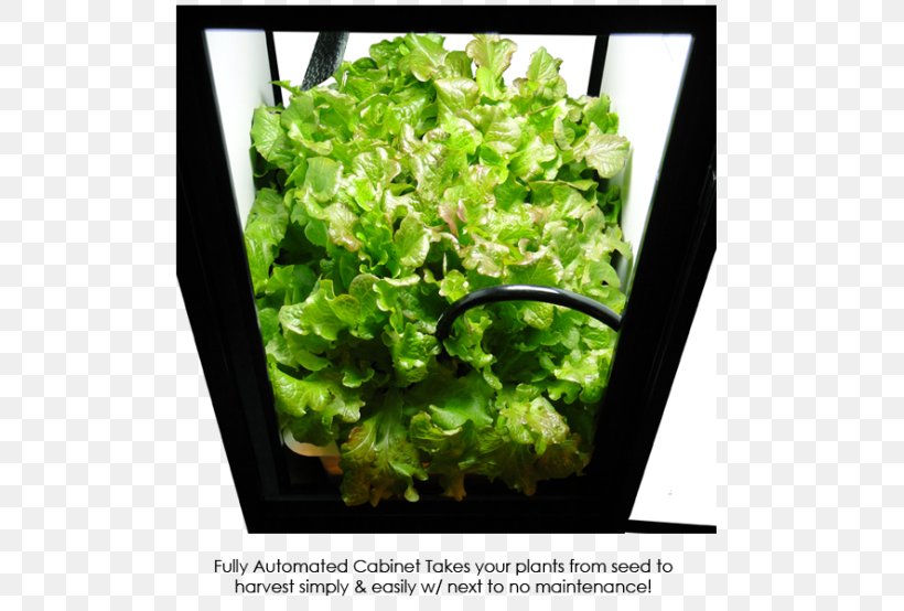 Grow Box Growroom Hydroponics Grow Light Light-emitting Diode, PNG, 600x554px, Grow Box, Cannabis Cultivation, Closet, Compact Fluorescent Lamp, Deep Water Culture Download Free