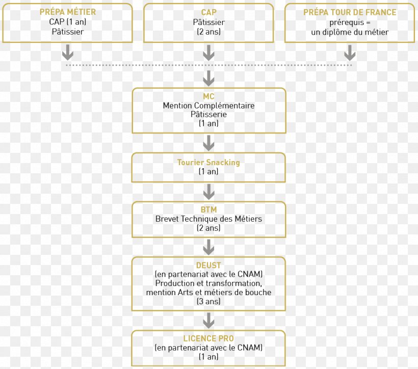 Pastry Chef Compagnons Du Devoir Baker Employment, PNG, 1103x974px, Pastry Chef, Apprenticeship, Area, Baker, Berufsausbildung Download Free