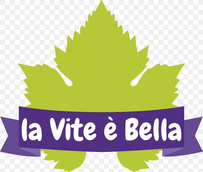 Accà Winery Common Grape Vine Viticulture, PNG, 2170x1836px, Wine, Agriculture, Area, Artwork, Bologna Download Free