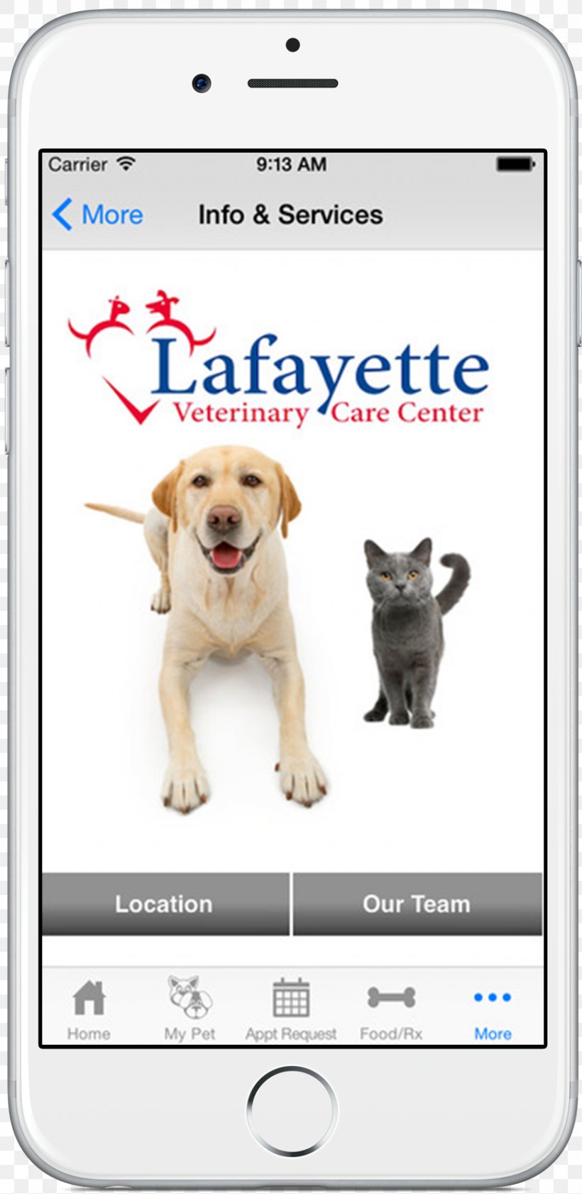 Dog Breed Puppy Lafayette Veterinary Care Center Veterinarian, PNG, 870x1784px, Dog Breed, Animal Control And Welfare Service, Animal Shelter, Carnivoran, Dog Download Free