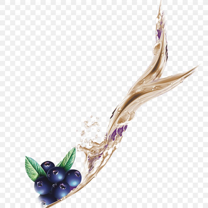 Download Clip Art, PNG, 4500x4500px, Special Effects, Auglis, Blueberry, Body Jewelry, Fruit Download Free