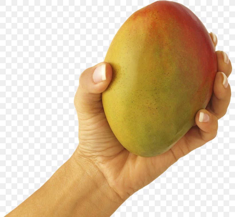 Mango Juice Fruit Veganism Food, PNG, 800x758px, Mango, Avocado, Dessert, Dish, Food Download Free