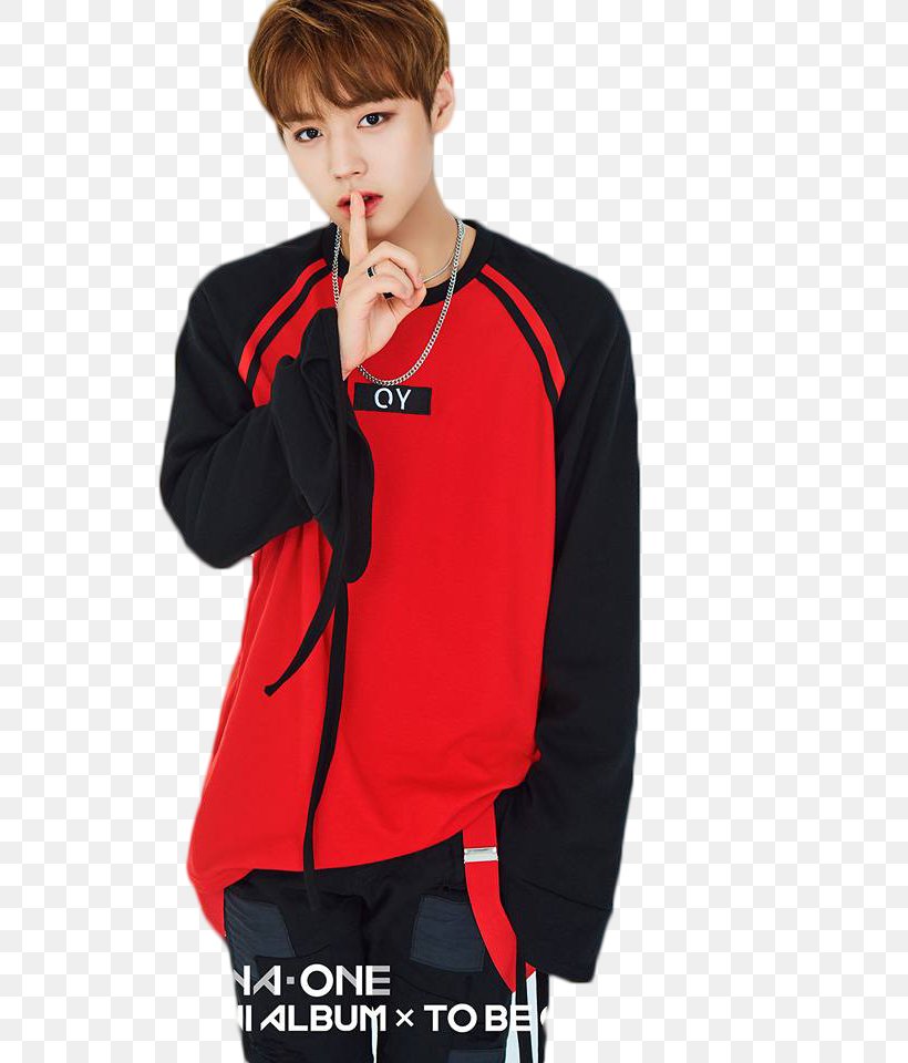 Park Jihoon Wanna One 1X1=1 (To Be One), PNG, 640x960px, Park Jihoon, Album, Bae Jin Young, Burn It Up, Clothing Download Free