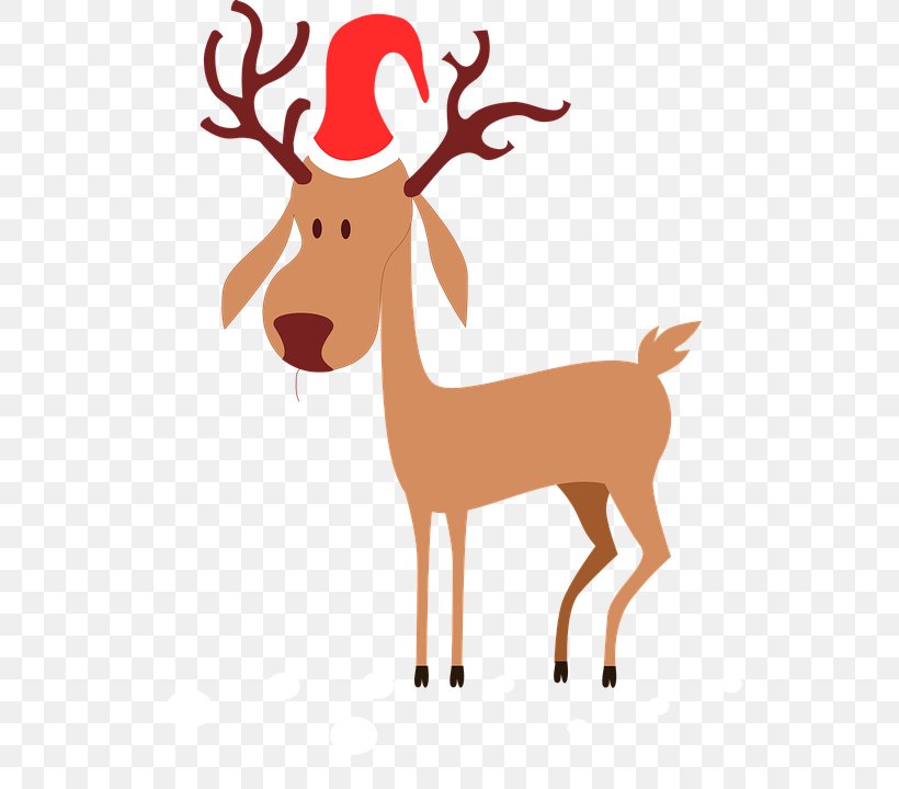 Rudolph Reindeer Santa Claus Clip Art, PNG, 556x720px, Rudolph, Animal Figure, Antler, Christmas, Christmas Decoration Download Free