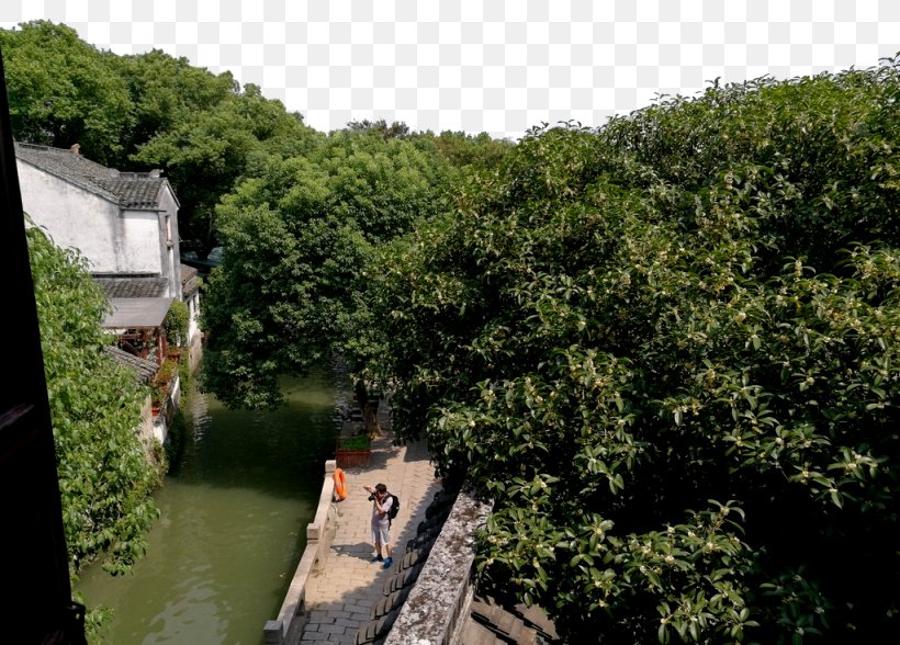 Tongli U53e4u93aeu540cu91cc Town, PNG, 1024x735px, Tongli, Bank, Canal, City, Cottage Download Free