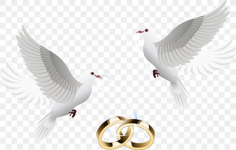 Wedding Invitation Wedding Cake Wedding Ring, PNG, 2500x1594px, Wedding Invitation, Beak, Bird, Bride, Feather Download Free