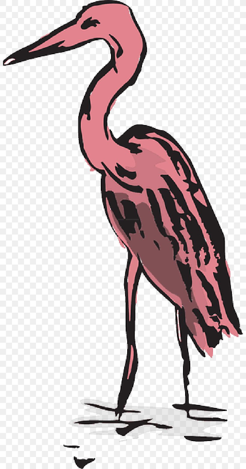 Crane Pixabay Vector Graphics Image, PNG, 800x1560px, Crane, Beak, Bird, Cranelike Bird, Flamingo Download Free