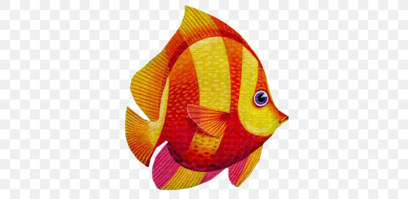 Goldfish Animal, PNG, 373x400px, Goldfish, Animal, Dolphin, Film, Fish Download Free